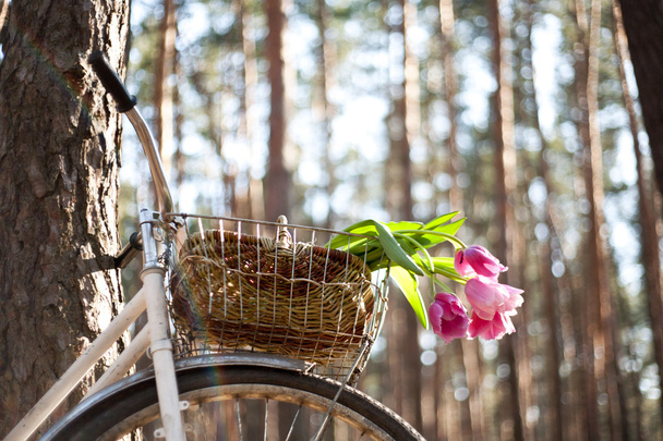 Старый велосипед с цветами в корзине, лес
 - Фото, изображение