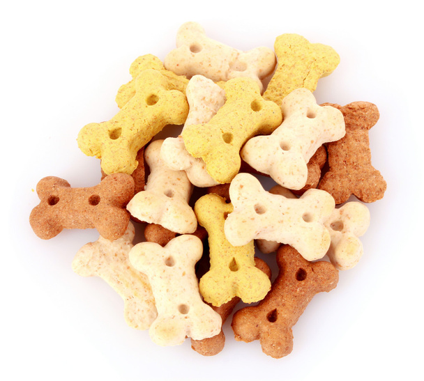Dry food for dogs in bones shapes isolated on white - 写真・画像