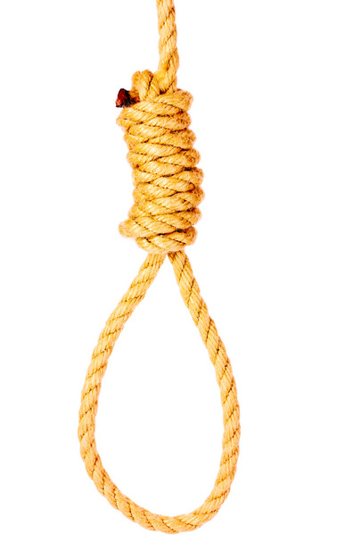 Suicide Noose isolated on white - 写真・画像