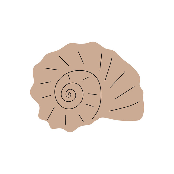 Tropical underwater seashell. Hand drawn sea mollusk shellfish element. Vector illustration in scandinavian style. - Vektori, kuva