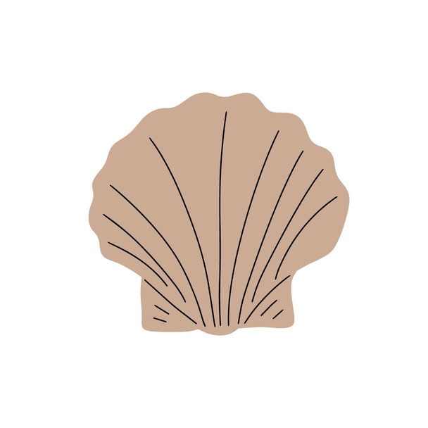 Tropical underwater seashell. Hand drawn sea mollusk shellfish element. Vector illustration in scandinavian style. - Vector, Image