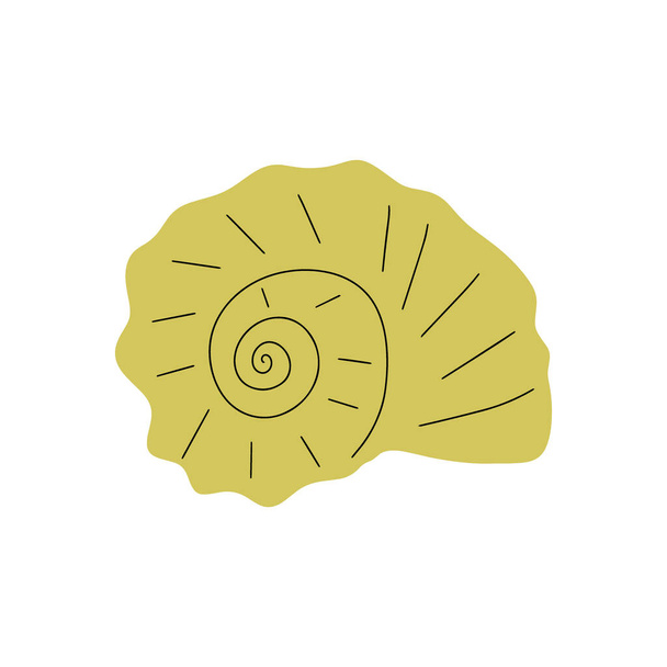 Tropical underwater seashell. Hand drawn sea mollusk shellfish element. Vector illustration in scandinavian style. - Vector, Imagen