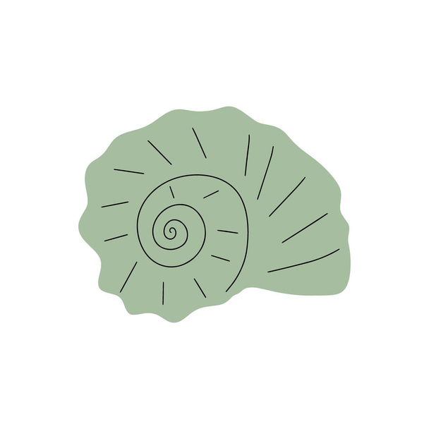Concha tropical subaquática. Elemento molusco de molusco marinho desenhado à mão. Ilustração vetorial em estilo escandinavo. - Vetor, Imagem