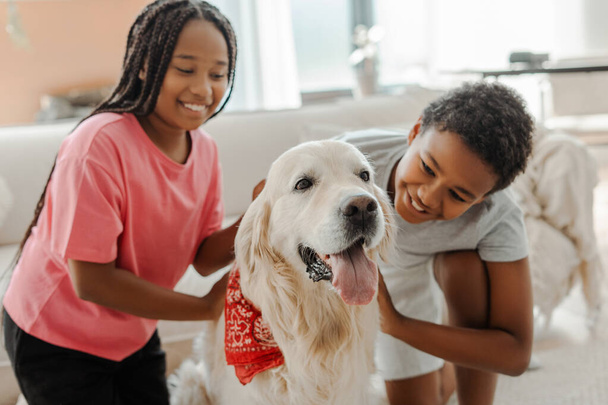 Portrait of happy children, African American brother and sister stroking and playing with golden retriever at home. Cute kids having fun with best friend. Pet love concept - Photo, Image