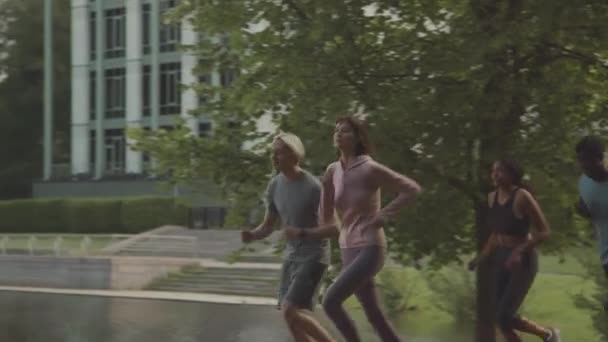 PAN medium slow mo di giovani atleti multietnici che fanno jogging insieme nel parco nella giornata estiva - Filmati, video
