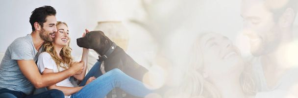 Happy, couple and relax with dog in home, mockup and banner for foster, adoption or love for rescue pitbull. People, pet and double exposure with space for puppy, info or care for animal in house. - Photo, Image