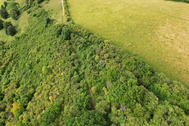 Granjas agrícolas británicas de Sharpenhoe Clappers Paisaje rural Cerca de Luton City of England Gran Bretaña del Reino Unido. Filmación fue capturada con la cámara de Drone el 24 de junio de 2023 - Foto, Imagen