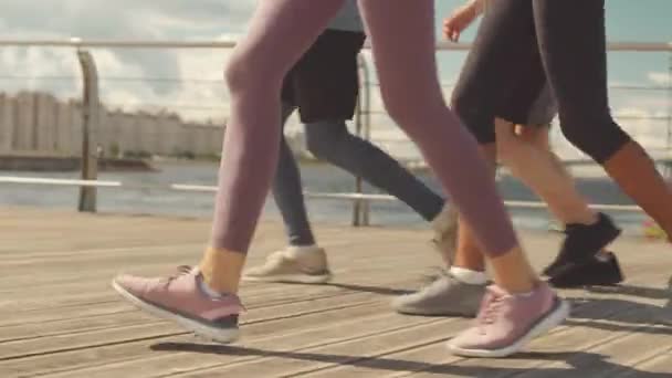Laag deel van vier onherkenbare mannelijke en vrouwelijke atleten joggen op de promenade in de zomer - Video
