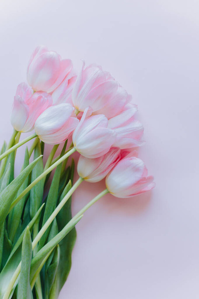 Beautiful bouquet of pink pastel tulip flowers. Close-up. Place for text. - Photo, Image