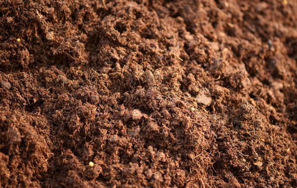 Background texture of topsoil - Photo, Image