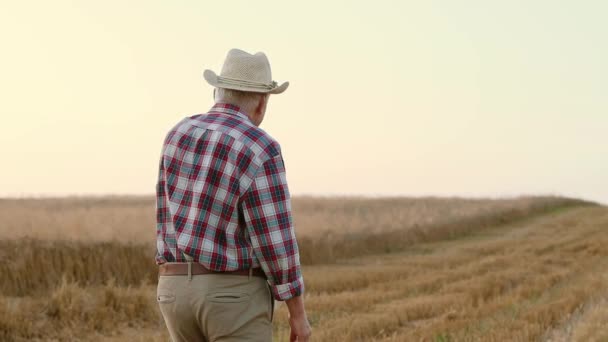 Horizontal shot. Grandfather waving with hand and calling grandson. Happy little boy running to grandfather. Senior farmer in checkered shirt and straw hat. Grandson embracing grandfathers at field. - Footage, Video