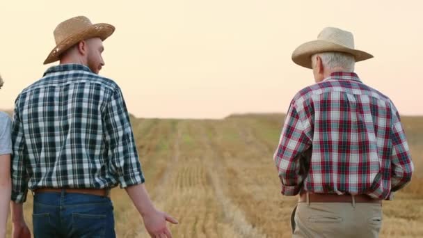 Horizontal shot. Back shot of senior farmer and adult son walking at field. Two farmers in straw hats talking outdoor. Family agriculture business. Harvest season. Barley or wheat field. - Footage, Video