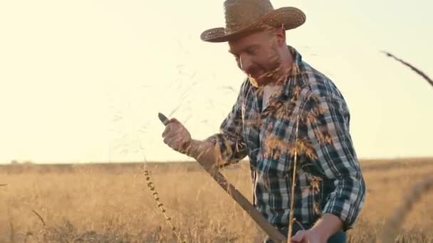 水平ショット。 農業従事者は小麦と小麦を刈り取っている. チェッカーのシャツを着てライフィールドで働く農民. 麦畑で収穫するわら帽子の経験豊富な農家. - 映像、動画