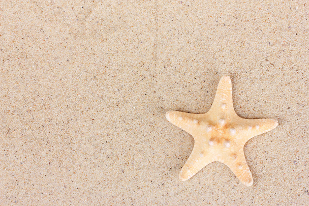 Beautiful red starfish on sand - Zdjęcie, obraz
