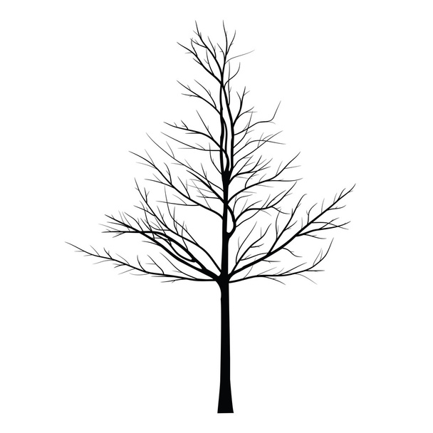 Árboles con rama muerta
 - Vector, imagen