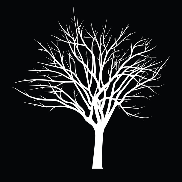 Árboles con rama muerta
 - Vector, Imagen