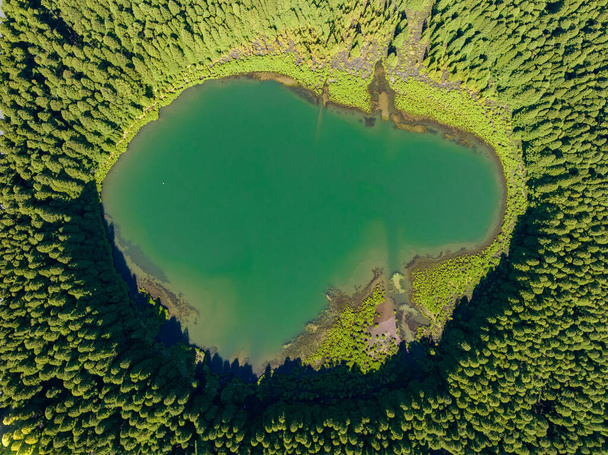 Αεροφωτογραφία της λιμνοθάλασσας "Lagoa do Canario" που περιβάλλεται από καταπράσινο δάσος που βρίσκεται στο Σάο Μιγκέλ, Αζόρες, Πορτογαλία. - Φωτογραφία, εικόνα