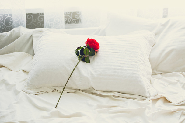 Tónovaný záběr červené růže ležící na posteli na ranní - Fotografie, Obrázek