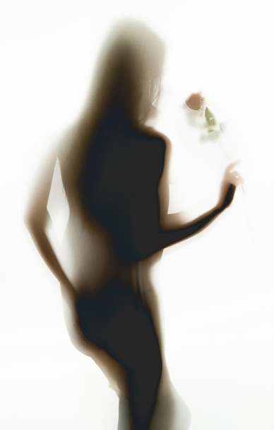 Силуэт фотографии сексуальной обнаженной женщины, пахнущей красной розой
 - Фото, изображение