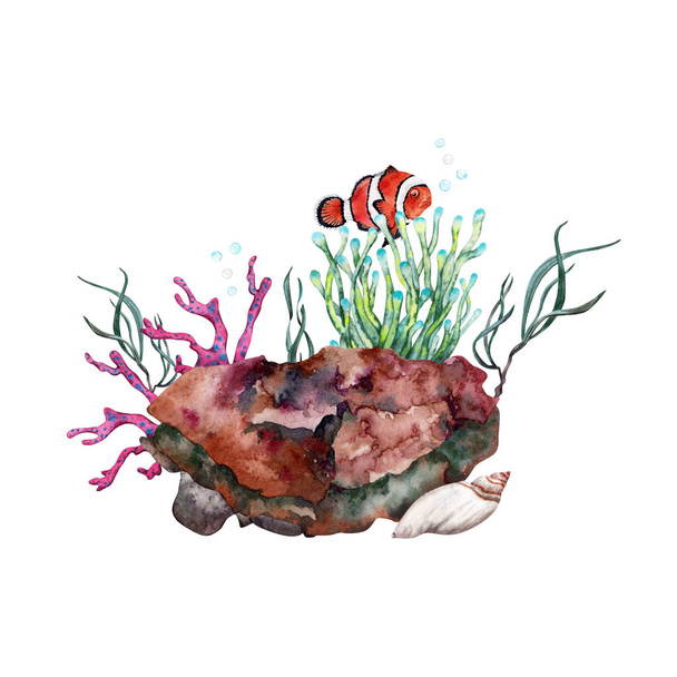 Oranžová klaunská ryba poblíž sasanky rostoucí nad útesovou skálou s korály a řasami. Ručně kreslený akvarel ilustrace. Část tropické podvodní sbírky. - Fotografie, Obrázek