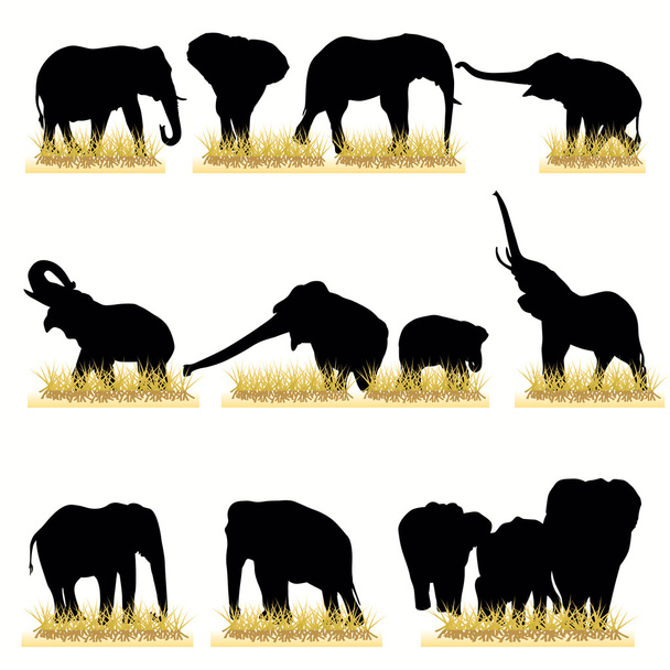 Elephants Silhouettes Set - Vector, Image