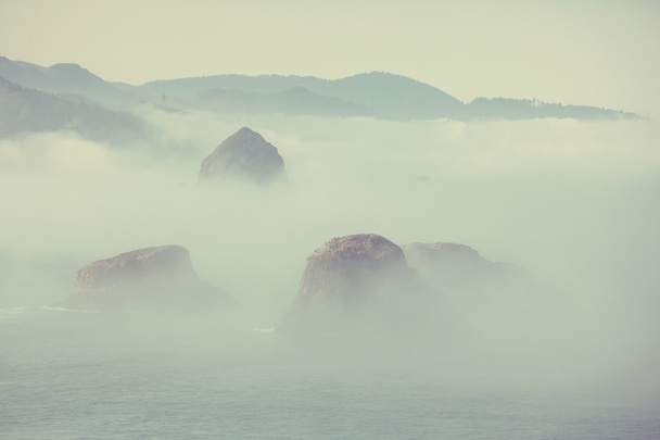 Misty Ocean coast - Photo, image