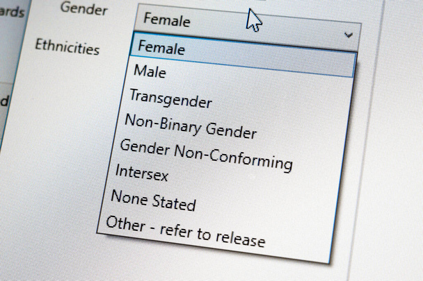 Luettelo sukupuolista kannettavan tietokoneen näytöllä - Valokuva, kuva