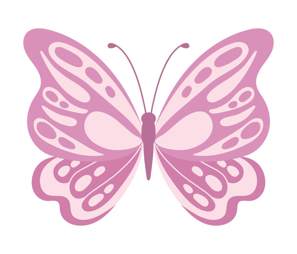 butterfly natural isolated illustration vector - Vector, Image