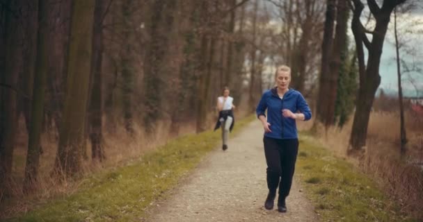 dedykowana młoda kobieta robi rozgrzewkę ćwiczenia podczas joggingu z przyjaciółką w ogrodzie - Materiał filmowy, wideo