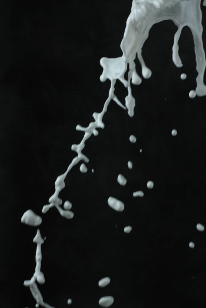 éclaboussure de lait sur fond noir - Photo, image