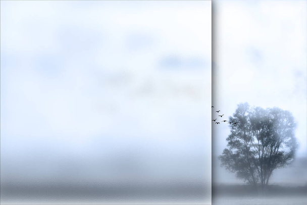 Lonely tree. Photo with a frosted glass effect applied to one side. presentation, card, poster etc. ready-to-use image. - Photo, Image