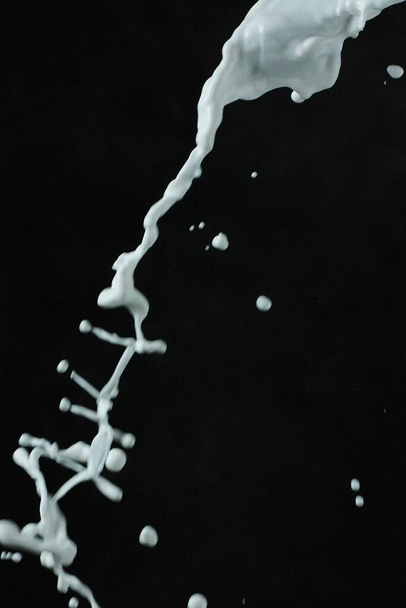 spruzzi di latte su sfondo nero - Foto, immagini