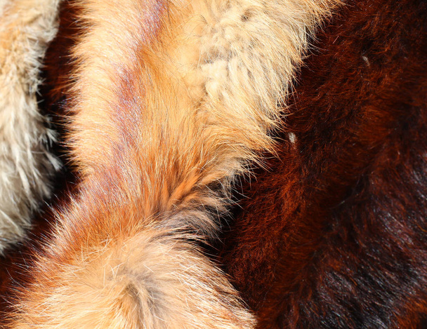 Hintergrund sehr teurer Tierfelle zum Verkauf in Luxus-Pelzgeschäft - Foto, Bild