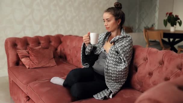 Portrait of charming young woman under blanket sipping hot tea or coffee while sitting on sofa at home. Calm relaxed young woman enjoying weekend alone indoors - Footage, Video