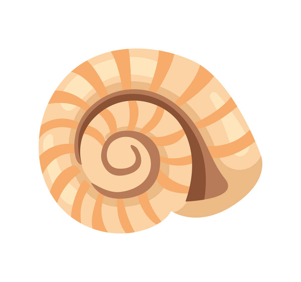 seashell cute illustration vector isolated - Vector, Image