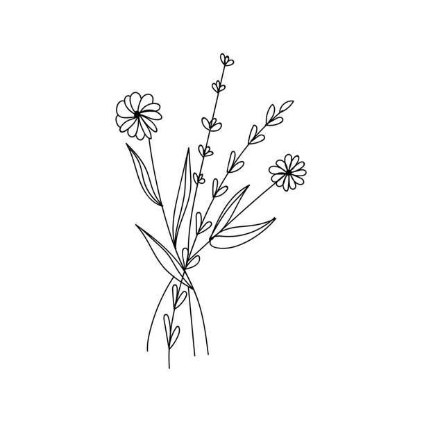 Beautiful meadow flowers on white background - Vector, Image