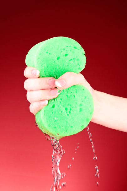 Squeezing sponge on red background - Fotografie, Obrázek
