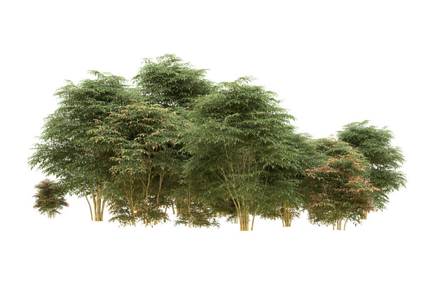 Ліс ізольований на фоні. 3d візуалізація - ілюстрація - Фото, зображення