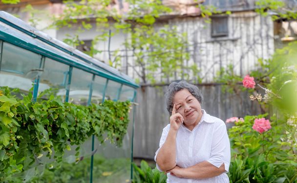 Aasialainen vanhempi nainen viljelijä kasvihuoneessa puutarhassa. Nainen ajattelee ekologian istutus luomuvihannesten ja kasvien tilalla. Terveellinen ja vegaani ruoka käsite - Valokuva, kuva