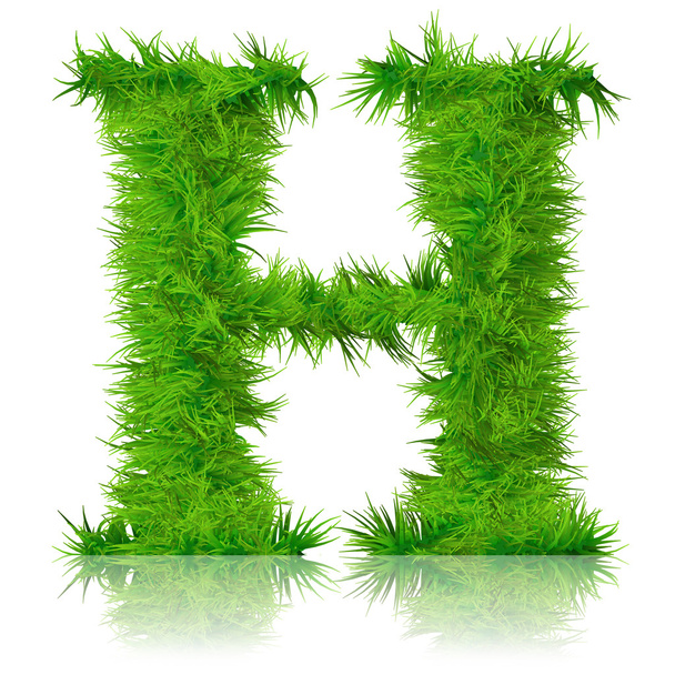 Conceptual set  of green grass - Photo, Image