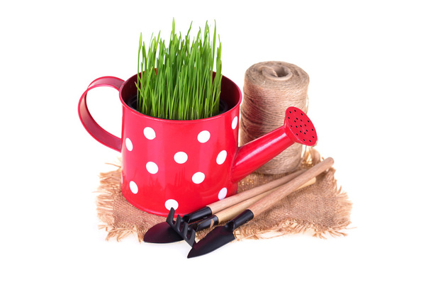 Grass in watering can and garden tools - Фото, зображення