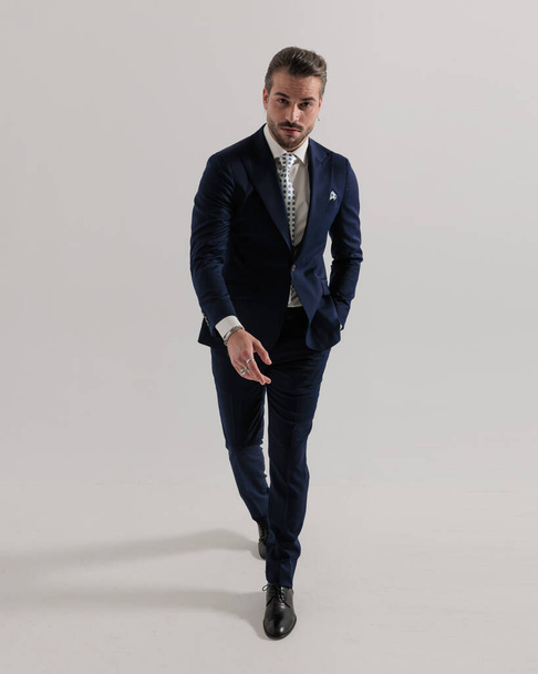 элегантный молодой человек в темно-синем костюме, с галстуком и платком, ходит с рукой в кармане и смотрит вперед на сером фоне - Фото, изображение