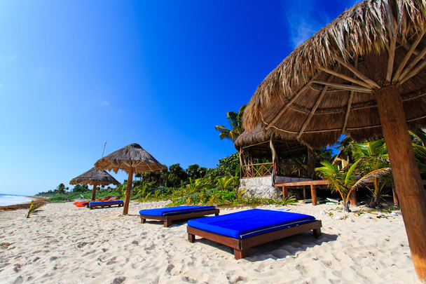 Plážová lehátka v luxusním letovisku na pobřeží Karibiku - Fotografie, Obrázek