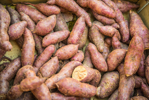 Φρέσκια γλυκοπατάτα, Ταϊλάνδη. - Φωτογραφία, εικόνα