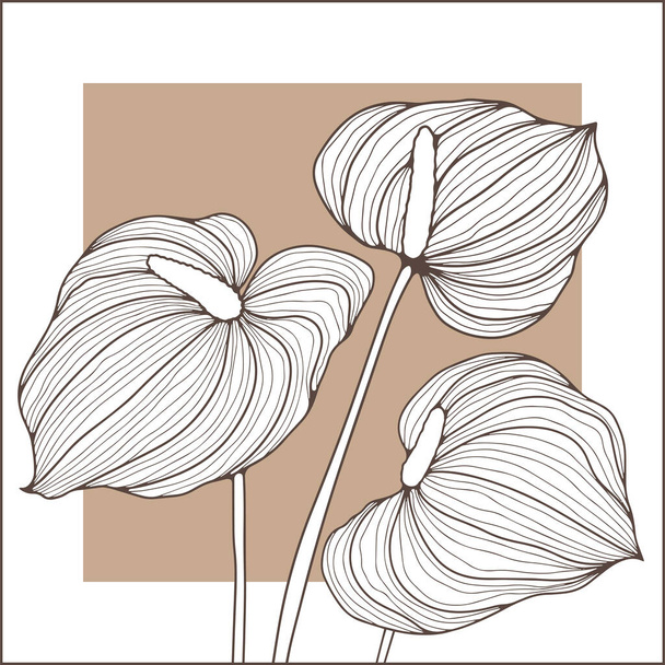 Three delicate calla flowers on a beige background. Floral wall design in beige and brown tones. Wall decoration, painting for decoration, creating wallpaper and backgrounds. - Vector, Image