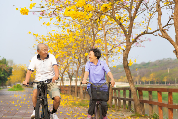 Bisiklet Park mutlu Asya kıdemli çift binmek - Fotoğraf, Görsel