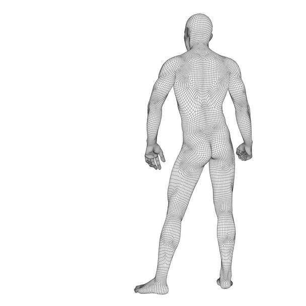 3D člověk z drátového modelu - Fotografie, Obrázek