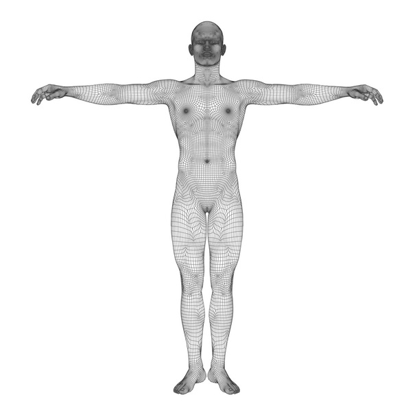 3D humano feito de wireframe preto
 - Foto, Imagem