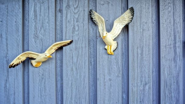 Две белые чайки на стене
 - Фото, изображение