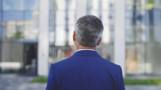 Back View of kaukázusi érett üzletember, Guy in Formal Suit, Standing In City Outdoors, Looking At Urban Buildings, Enjoying. Férfi sziluett kívül - Felvétel, videó